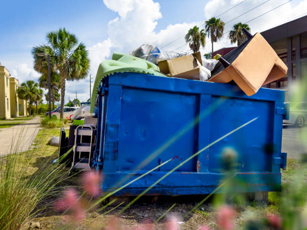 Yard Cleanup Services in Byron, CA